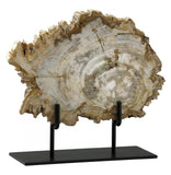 Oak 12in. Medium Petrified Wood On Stand - Style: 7314386