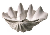 9.25in. Clam Shell - Style: 7314462