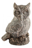 Washed Ebony Owlet 17 Inch High Cement Figurine - Style: 7796288